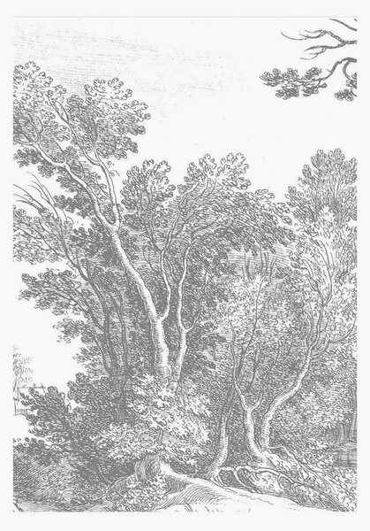 Tapeta Engraved Landscapes V