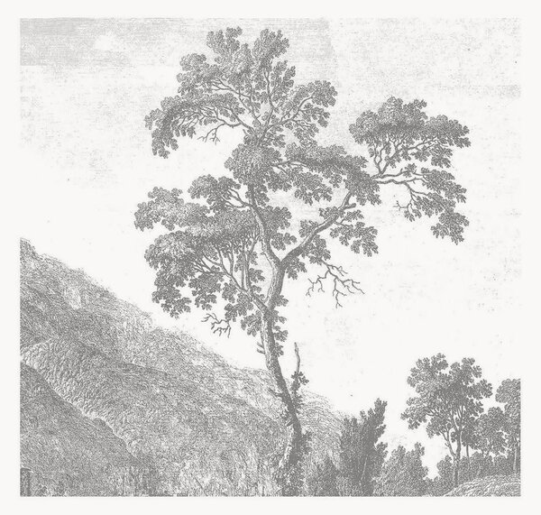 Tapeta Engraved Landscapes I
