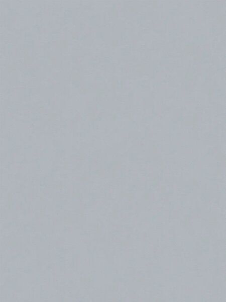 A.S. Création | Vliesová tapeta na zeď Elite of Shades 78651-5 | 1,06 x 10,05 m | šedá