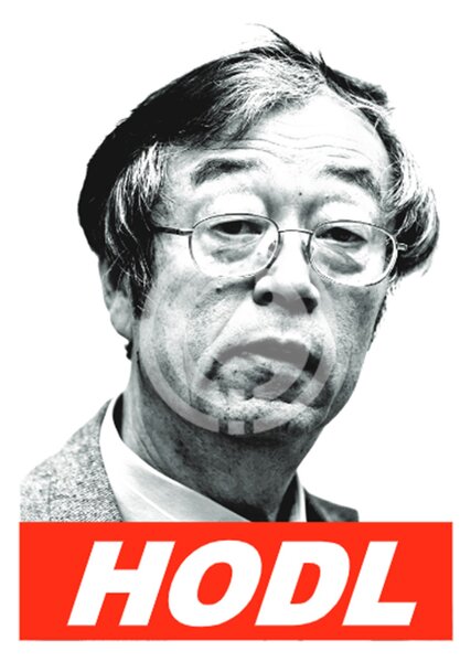 Satoshi Nakamoto - HODL Velikost: A3 (29,7 cm × 42 cm), Zasklít plakát: NE