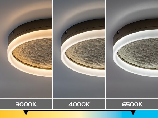 Rabalux 71525 - LED Stm stropní sv TIMMO 24W/230V 3000-6500K pr. 40 cm béžová+DO