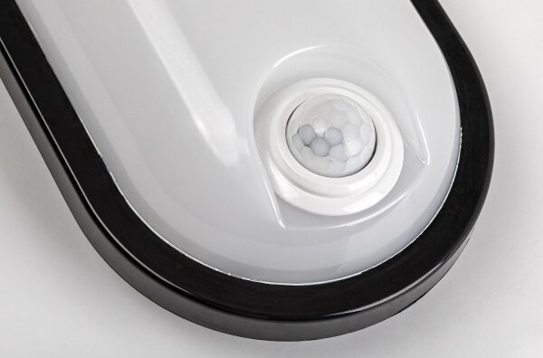 Rabalux 77231 - LED Ven stropní svítidlo se senzorem HORT2 15W/230V IP65 černá