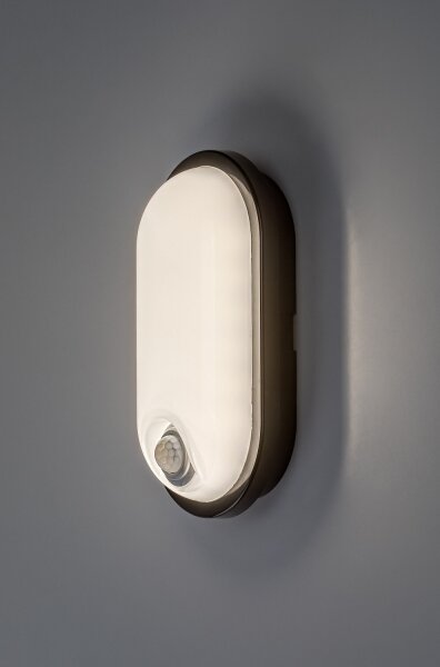 Rabalux 77231 - LED Ven stropní svítidlo se senzorem HORT2 15W/230V IP65 černá