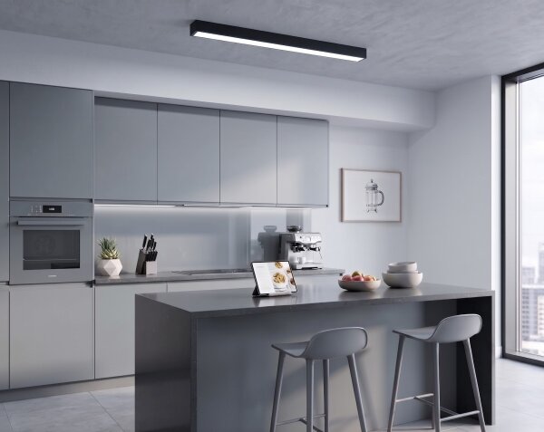LED Přisazený/lustr na lanku LED/44W/230V 6000K 120 cm černá
