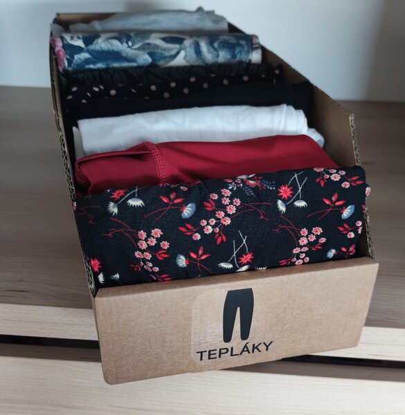 KARTON PAK Úložné boxy na oblečení, organizéry do skříně EKO KARTON 20 x 54 cm