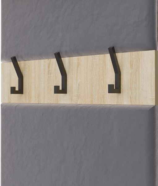 TP Living Předsíňová stěna HAGA 2W 100 cm dub Sonoma