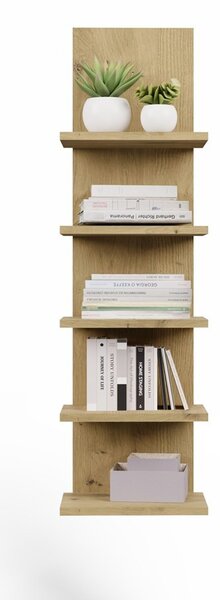 TP Living Nástěnný regál R5P 100 cm dub Artisan