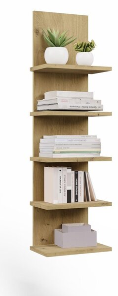 TP Living Nástěnný regál R5P 100 cm dub Artisan