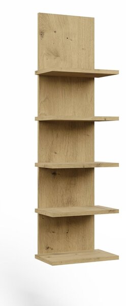 TP Living Nástěnný regál R5P 100 cm dub Artisan