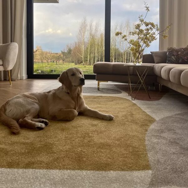 Makro Abra Moderní kusový koberec LUCY NP21A krémový žlutý hnědý Rozměr: 120x170 cm