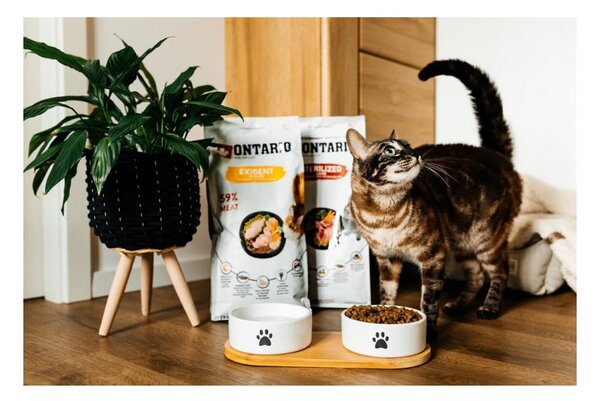 Keramický set misek s podstavcem pro psa ø 13 cm Dog Fantasy – Plaček Pet Products