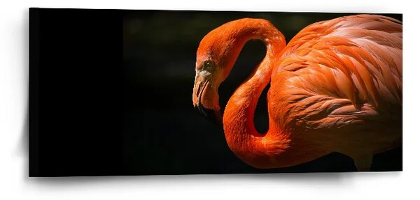 Sablio Obraz Plameňák - 110x50 cm