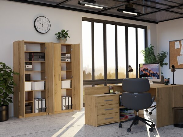 TP Living Kancelářská knihovna OLIV 2D dub Artisan