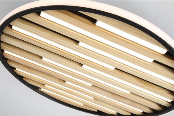 Searchlight 80980-49BK - LED Stmívatelné stropní svítidlo EQUALISE LED/33W/230V