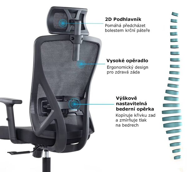 Kancelářská ergonomická židle Neoseat FLEX PRO — černá, nosnost 150 kg