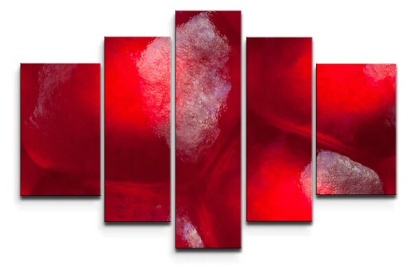 Sablio Obraz - 5-dílný Granátové jablko - 125x90 cm