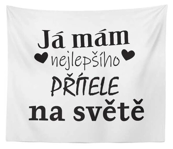 Sablio Deka Já mám nejlepšího přítele na světě: 150x120 cm