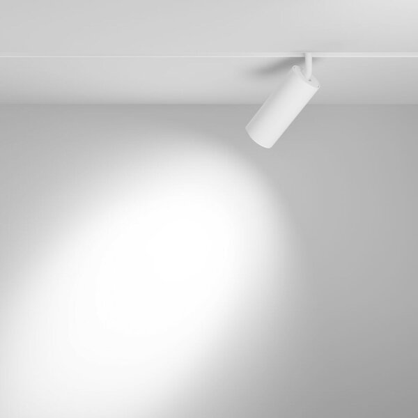 MAYTONI Svítidlo do kolejnice Focus LED Magnetic track system Exility 2700K 20W 36d TR032-4-20WTW-S-DD2-W