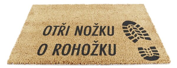 Rohožka z kokosového vlákna 40x60 cm Boots – Artsy Doormats