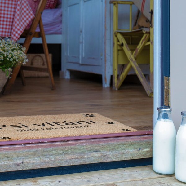 Rohožka z kokosového vlákna 40x60 cm Psi vítáni – Artsy Doormats
