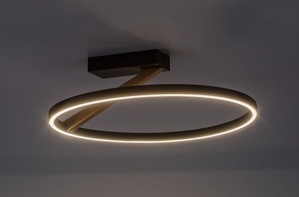 Rabalux 71351 - LED Stropní svítidlo RENARA LED/24W/230V 3000K pr. 45 cm