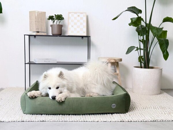 Bambol Pelech OrthoComfort Bambol, zelený Velikost: S - 65 x 45 cm