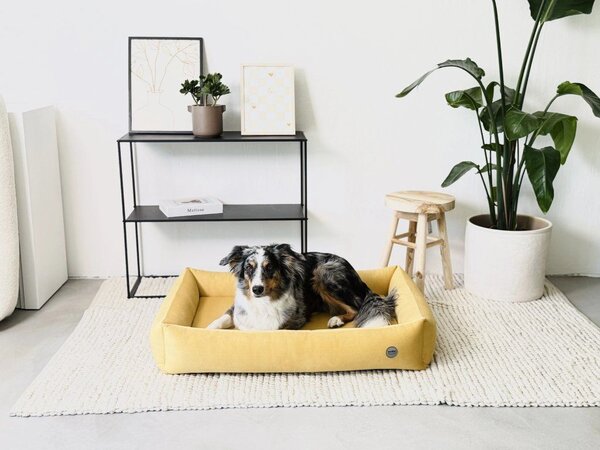 Bambol Pelech OrthoComfort Bambol, žlutý Velikost: L - 85 x 60 cm