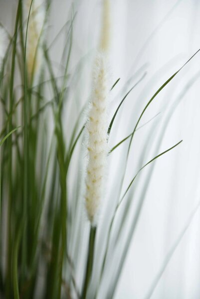 Umělá tráva HERBE, plast, výška 80 cm, zelená