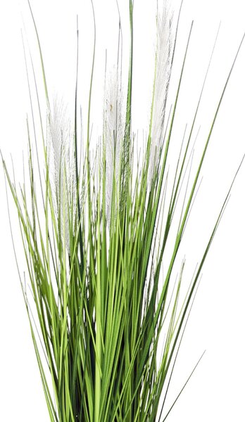Umělá tráva PAMPAS, plast, výška 80 cm, zelená