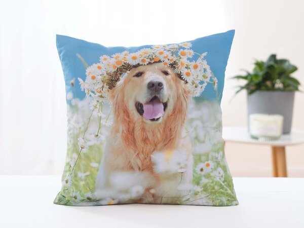 MK Lůžkoviny Povlak na polštář 40 × 40 cm - Zlatý Retrívr Amálka