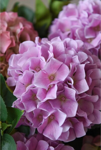 Umělá hortenzie HYDRANGEA v bílém květináči, výška 78 cm, růžová