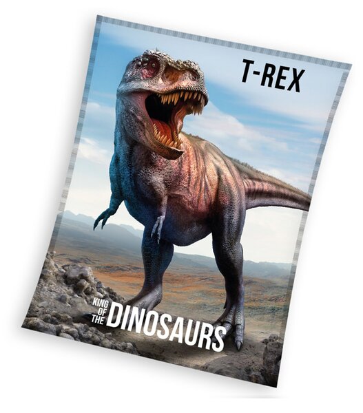 Dětská mikroplyšová deka 130 x 170 cm - T-Rex