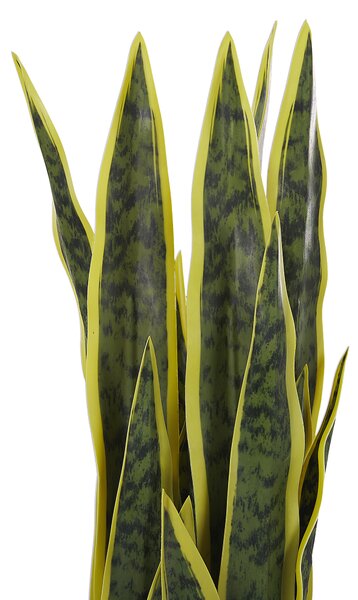 Umělá rostlina SNAKE PLANT 63 cm Zelená