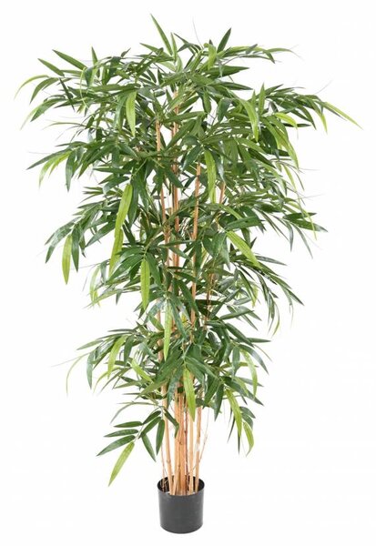 Umělý Bambus strom - přírodní kmeny, 150cm