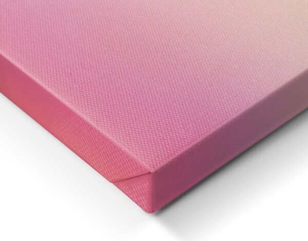 Tištěný obraz na plátně 70x100 cm Pink Aura – Styler