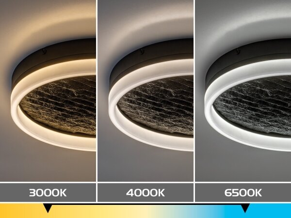 Rabalux 71523 - LED Stm stropní sv TIMMO 24W/230V 3000-6500K pr. 40 cm černá+DO