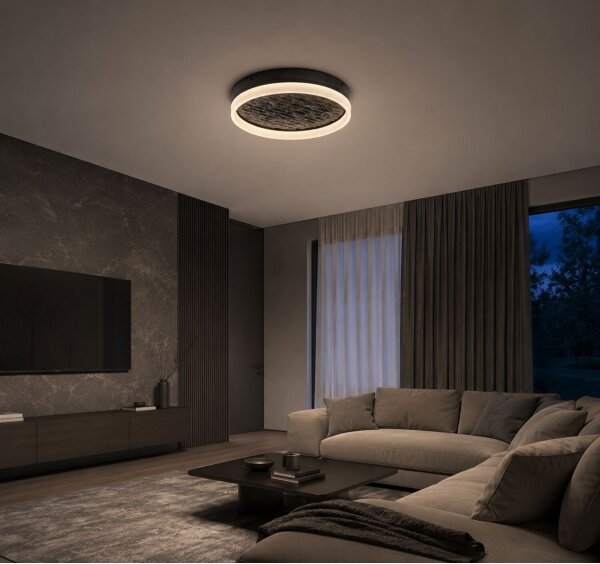 Rabalux 71523 - LED Stm stropní sv TIMMO 24W/230V 3000-6500K pr. 40 cm černá+DO