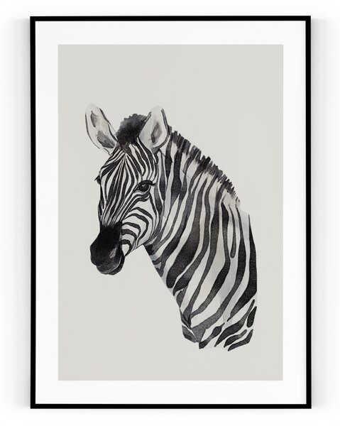 Plakát / Obraz Zebra Bez okraje Napnuté plátno na dřevěném rámu 50 x 70 cm