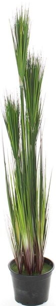 ONION GRASS - zelená Výška: 122 cm