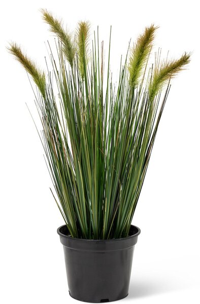 FOXTAIL GRAS - umělá tráva Výška: 60 cm