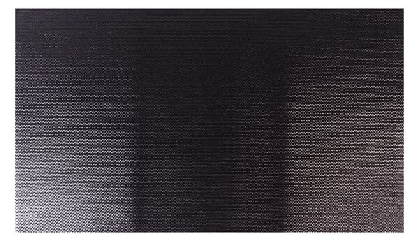 Linder Exclusiv Rohožka 40x60 cm Černá