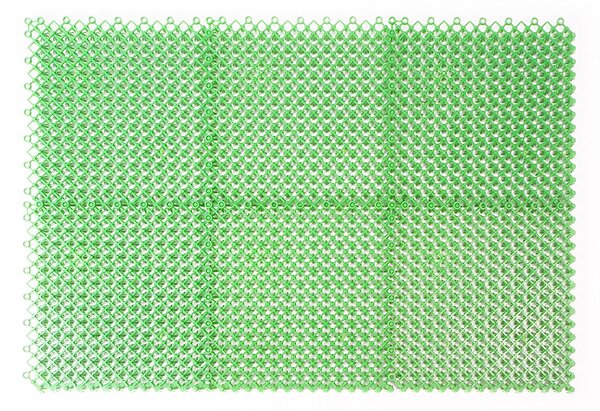 Linder Exclusiv Rohožka 60x40 cm Zelená