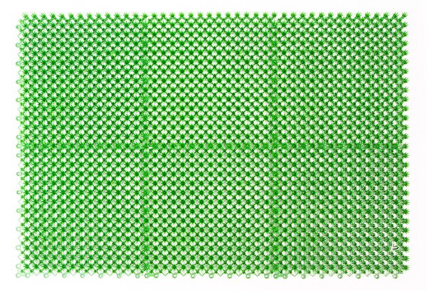 Linder Exclusiv Rohožka 60x40 cm Zelená