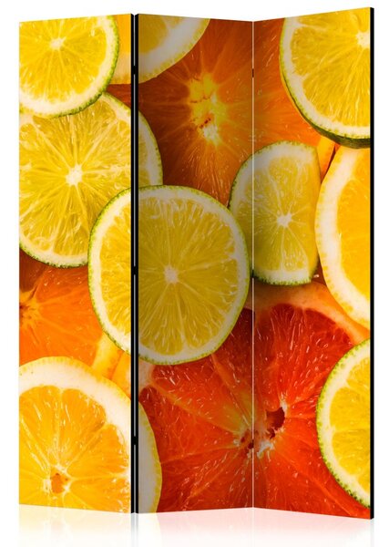 Paraván Citrus fruits Dekorhome 135x172 cm (3-dílný)