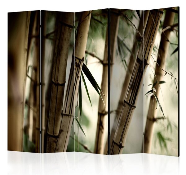 Paraván - Mlha a bambusový les II 225x172