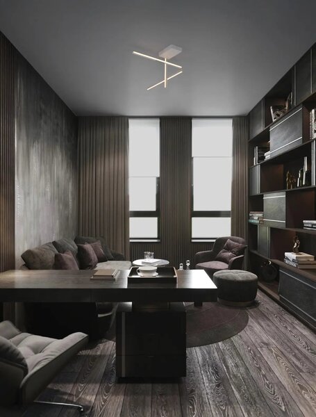 Moderní LED stropní svítidlo Antama bílá