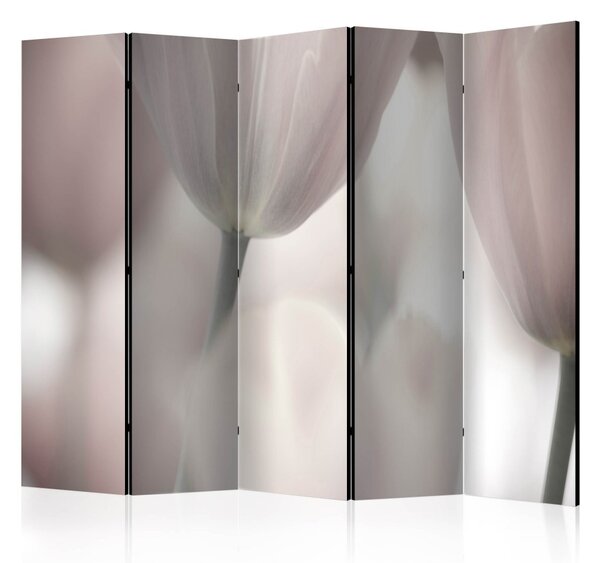 Paraván - Umělěcké tulipány - černobílé II 225x172