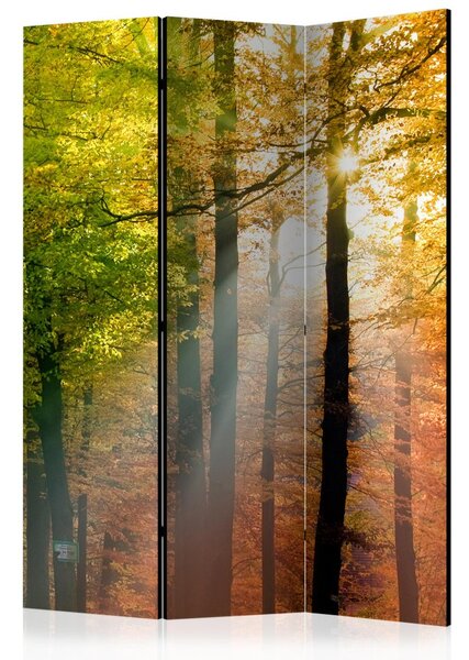 Paraván - Barvy lesa 135x172