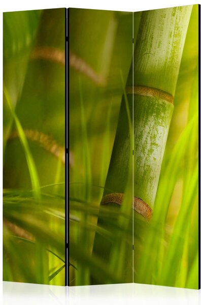 Paraván Bamboo - nature zen Dekorhome 135x172 cm (3-dílný)