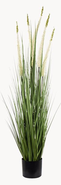 Umělá rostlina v květináči Reed